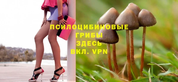 мет Приозерск