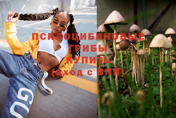 MDMA Пролетарск