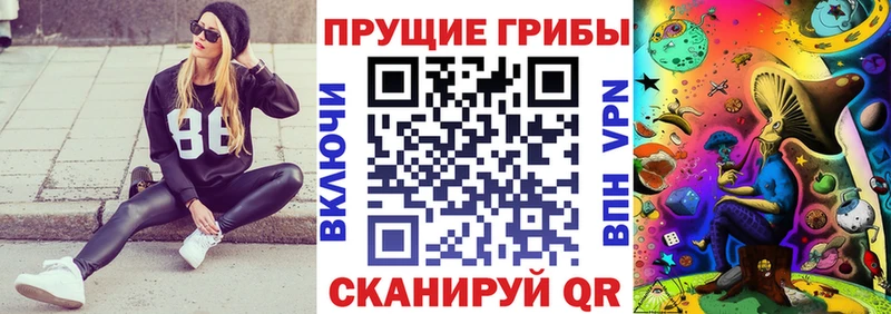 Галлюциногенные грибы Cubensis  Купить  Ува 